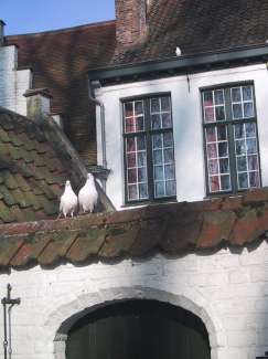 IMG_1815.JPG